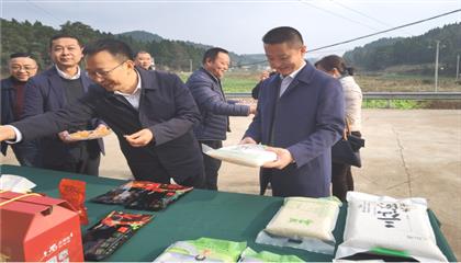 市委常委、政法委書記劉波濤帶隊調(diào)研指導定點幫扶村鄉(xiāng)村振興工作